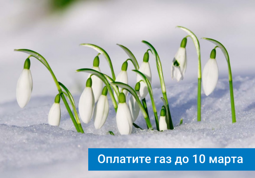 Напоминаем о сроках оплаты газа, потребленного в феврале