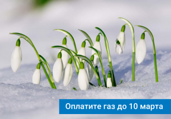 Напоминаем о сроках оплаты газа, потребленного в феврале