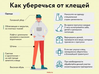 Как уберечься от клещей