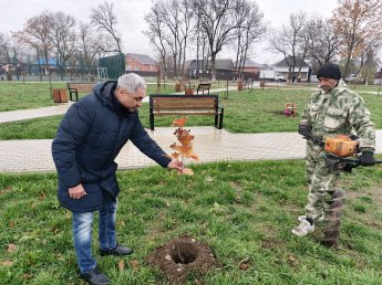 «Сохраним лес» 