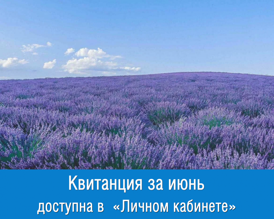 Квитанция за июнь уже готова и ожидает вас в «Личном кабинете» и в мобильном приложении «Мой Газ»
